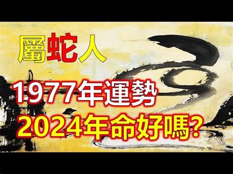 1977年農曆生肖|1977是民國幾年？1977是什麼生肖？1977幾歲？